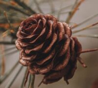 g52e8f112d87dc9c4c0eeb846035625755791fc912ecff2ee621f6292315c0c7afc469b5c7a53712bff626339c3b4c9cd6360de67726361e1ed7306bf35828f6c 1280 9216518